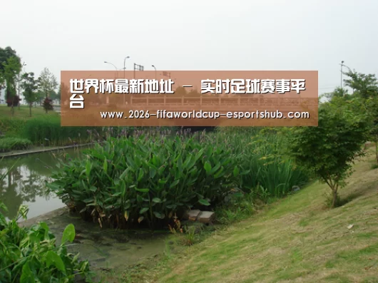 案例展示四(图1)
