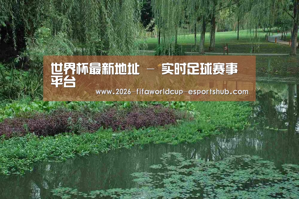 案例展示一(图1)