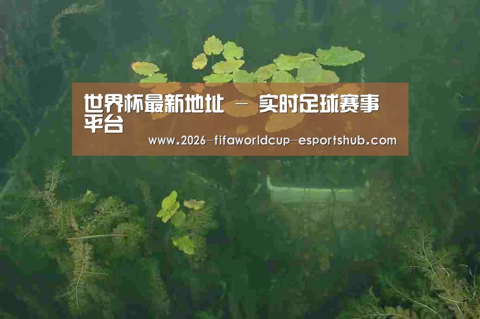 案例展示三(图1)