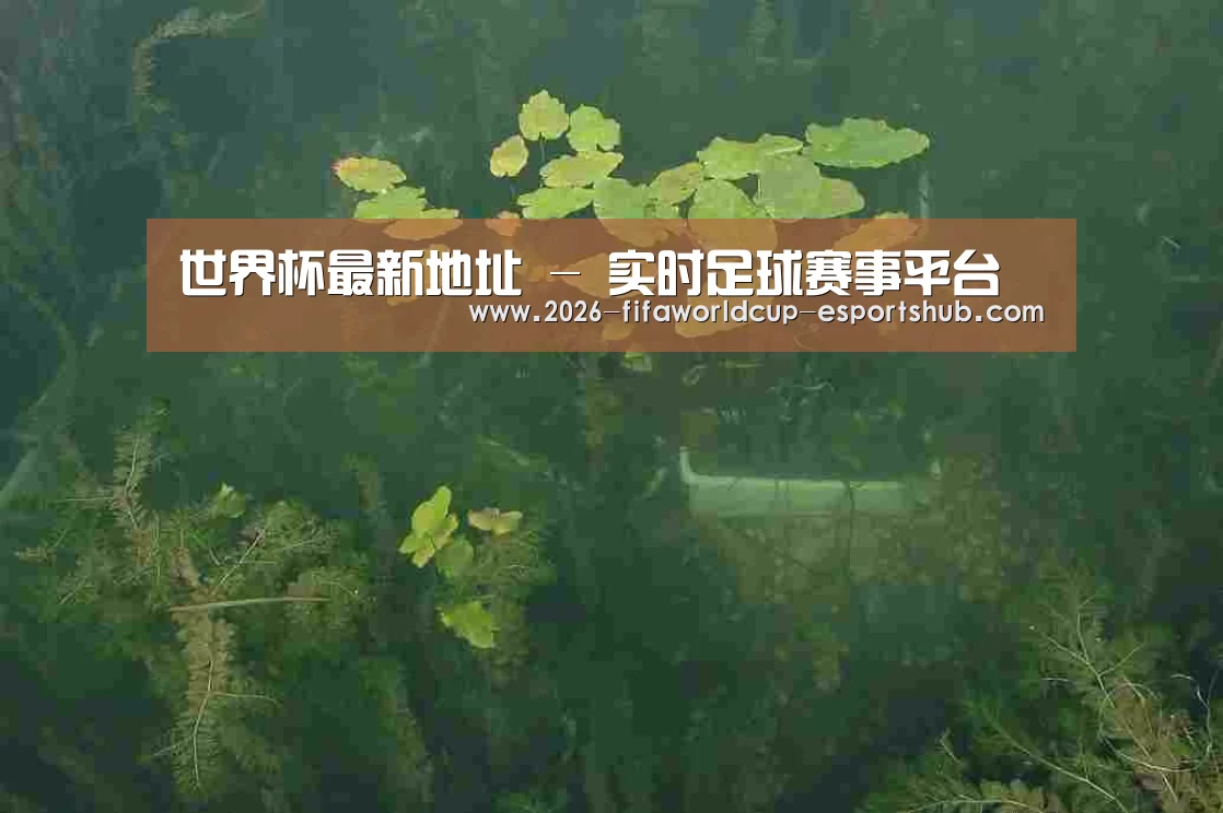 案例展示三