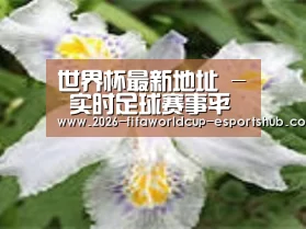 产品名称二