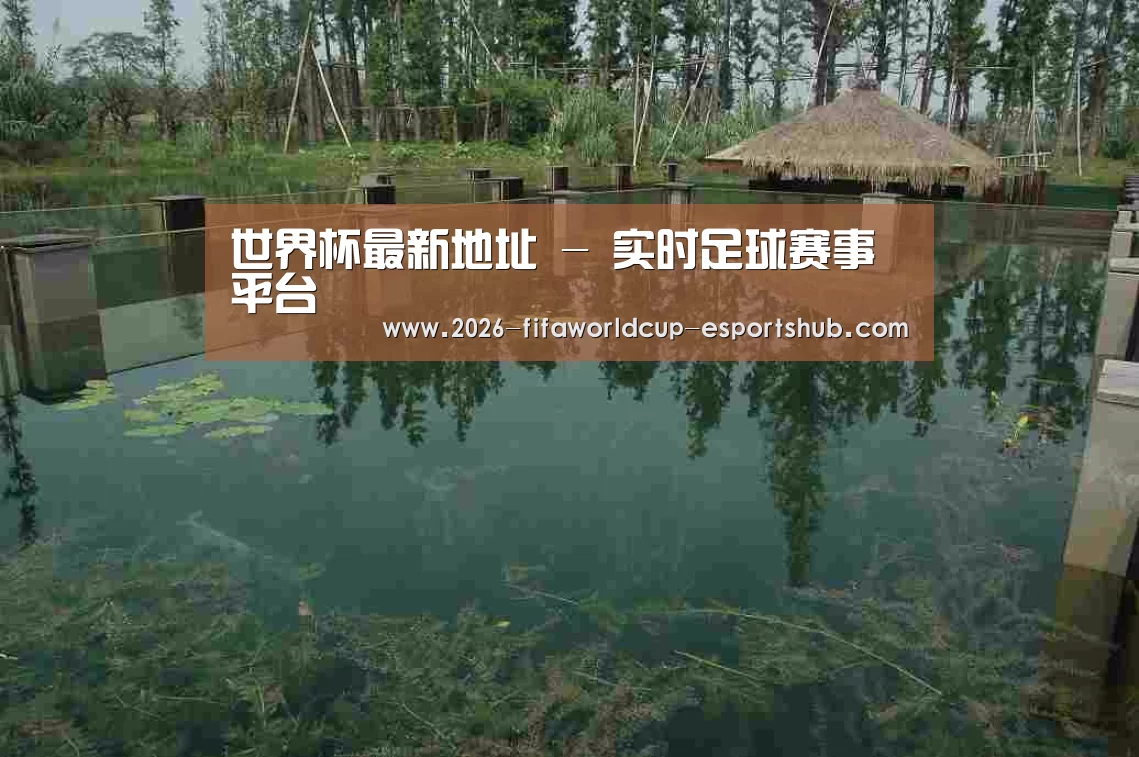 案例展示二