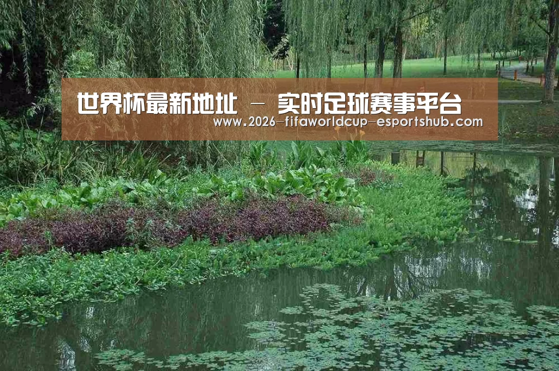 案例展示一