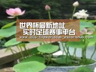 产品名称一