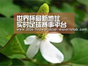 产品名称三