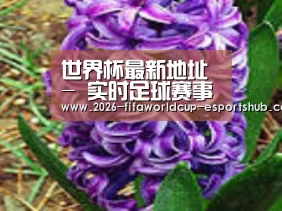 产品名称八
