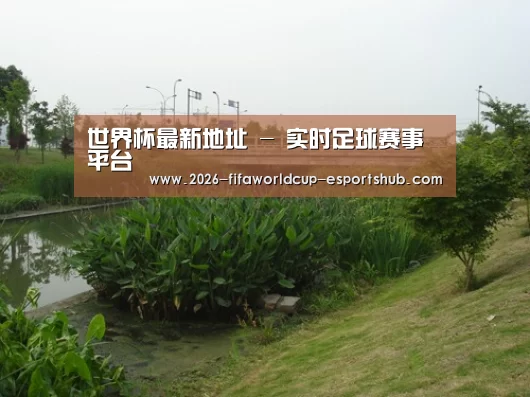 案例展示四