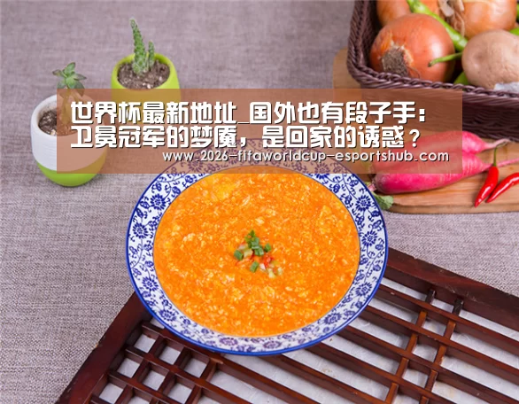世界杯最新地址