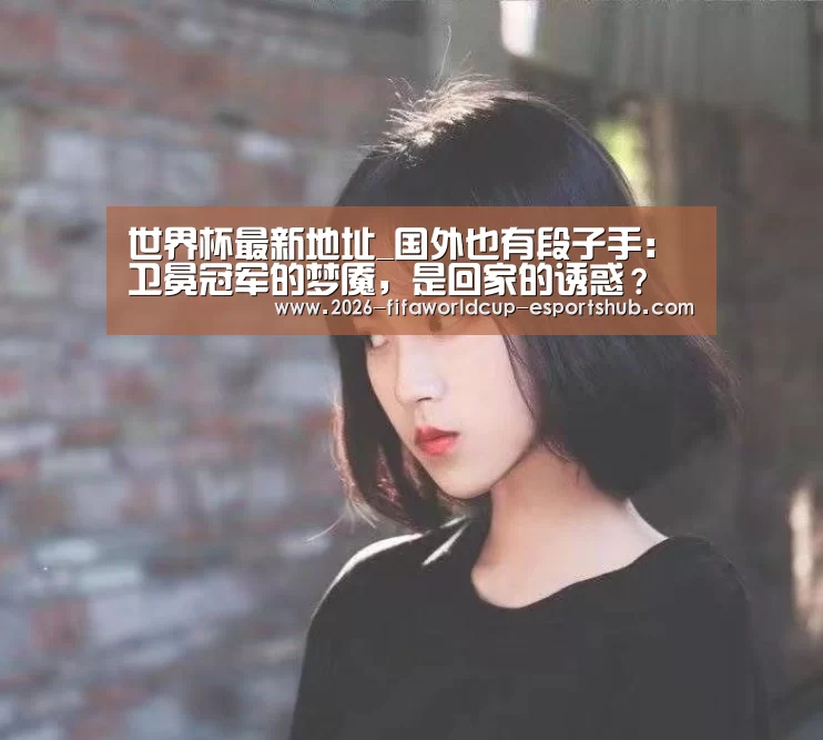  世界杯体育平台