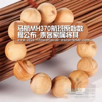 马航MH370航班原始数据公布 乘客家属将其贴上脸书‘ 世界杯体育平台’(图2) 世界杯高清直播